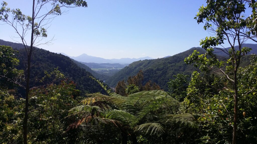 Kuranda6